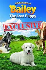 ბეილის თავგადასავალი: დაკარგული ლეკვი / ADVENTURES OF BAILEY: THE LOST PUPPY  (ქართულად)