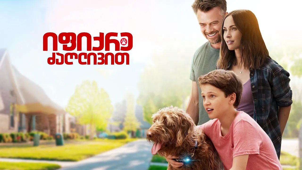 იფიქრე ძაღლივით
