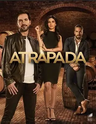ქურდი ქალი