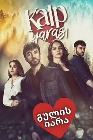 გულის ჭრილობა (ქართულად) გულის იარა