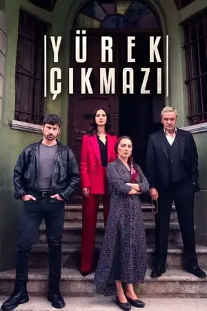 qaradai axalgazrdoba Turquli Seriali